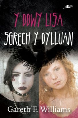 Cyfres y Dderwen: Y Ddwy Lisa - Sgrech y Dylluan Cyfres y Dderwen: Y Ddwy Lisa - Sgrech y Dylluan