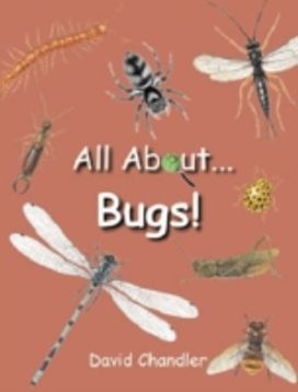 All About Bugs All About Bugs