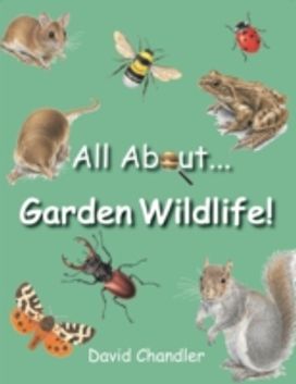 All About Garden Wildlife All About Garden Wildlife