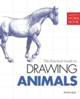 Drawing Animals Drawing Animals