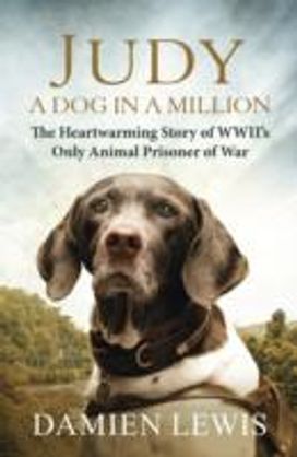 Judy: a Dog in a Million
