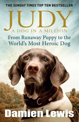 Judy: a Dog in a Million