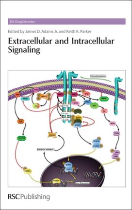 Extracellular and Intracellular Signaling Extracellular and Intracellular Signaling
