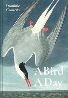 Bird a Day