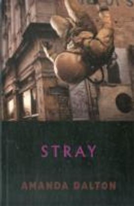 Stray Stray