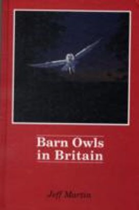 Barn Owls in Britain Barn Owls in Britain