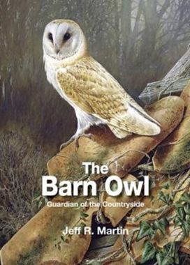 Barn Owl Barn Owl