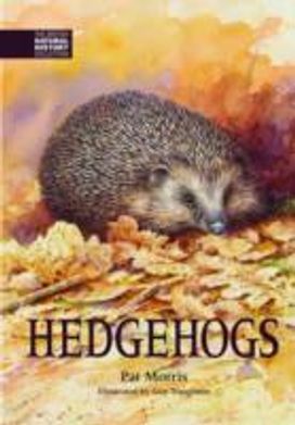 Hedgehogs Hedgehogs