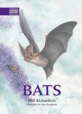 Bats Bats