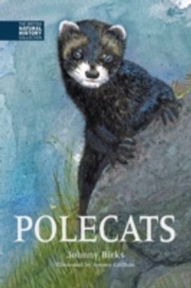 Polecats Polecats