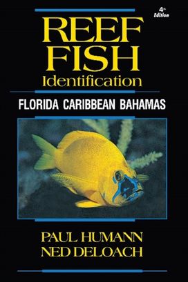 Reef Fish Identification Reef Fish Identification