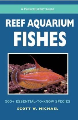 Reef Aquarium Fishes