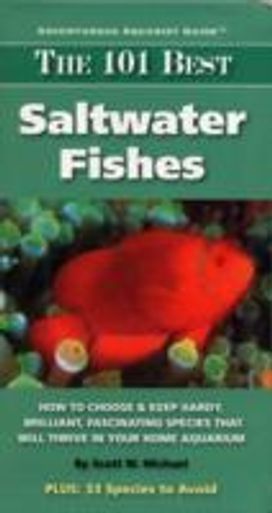 The 101 Best Saltwater Fishes The 101 Best Saltwater Fishes
