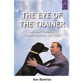 Eye Of The Trainer Eye Of The Trainer