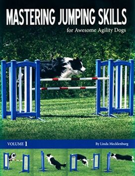 Mastering Jumping Skills Mastering Jumping Skills