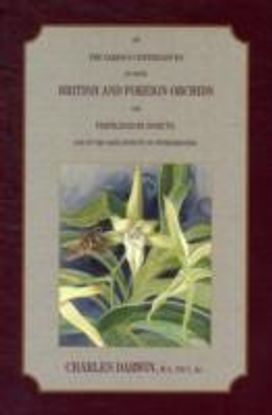 On the Various Contrivances by Which British and Foreign Orchids are Fertilised by Insects, and the Good Effects of Intercrossing. On the Various Contrivances by Which British and Foreign Orchids are Fertilised by Insects, and the Good Effects of Intercrossing.