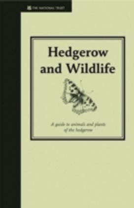 Hedgerow & Wildlife Hedgerow & Wildlife