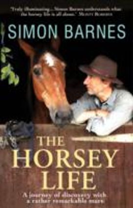 The Horsey Life The Horsey Life