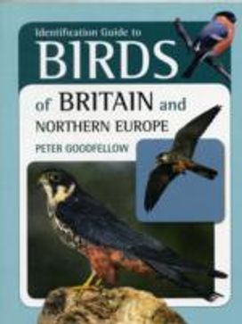Identification Guide to Birds of Britain and Northern Europe