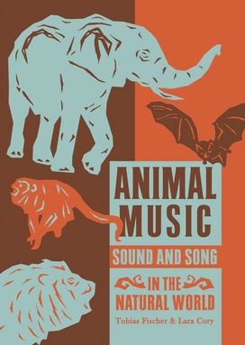 Animal Music Animal Music