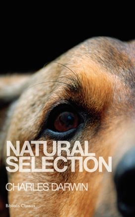 Natural Selection Natural Selection