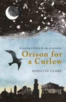 Orison for a Curlew Orison for a Curlew
