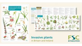 Guide to the Non-Native Invasive Plants of Britain and Ireland