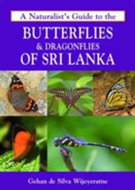 A Naturalist's Guide to the Butterflies & Dragonflies of Sri Lanka