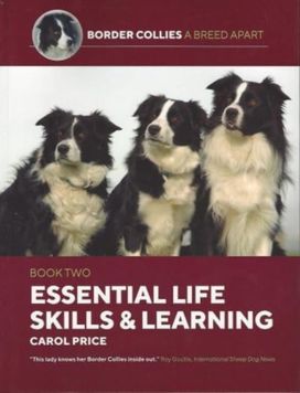 Life Skills and Learning Life Skills and Learning