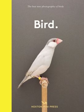 Bird. Bird.