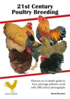 21St Century Poultry 21St Century Poultry