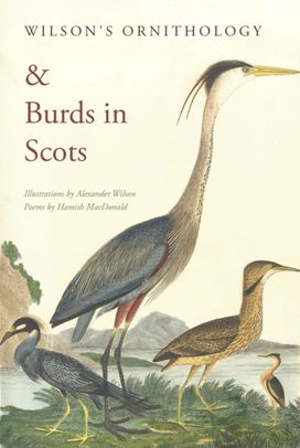 Wilson's Ornithology and Burds in Scots Wilson's Ornithology and Burds in Scots
