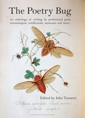 Poetry Bug, The - An Anthology of Writing by Professional Poets, Poetry Bug, The - An Anthology of Writing by Professional Poets,