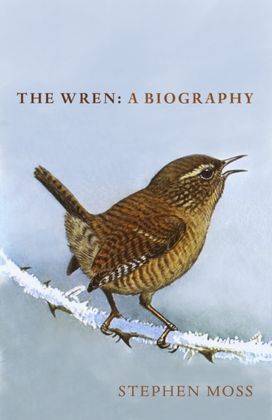 Wren Wren
