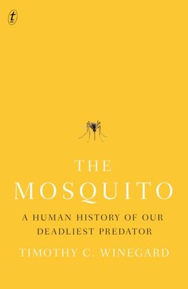Mosquito
