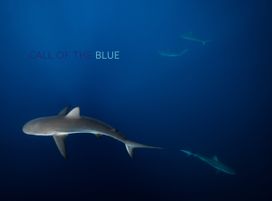 Call of the Blue Call of the Blue