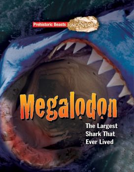 Megalodon Megalodon