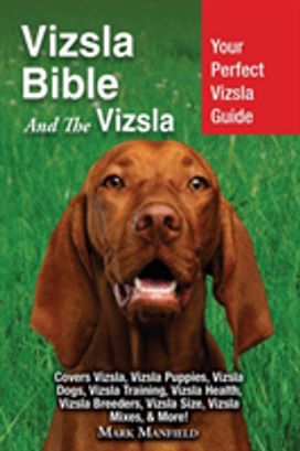 Vizsla Bible and the Vizsla Vizsla Bible and the Vizsla