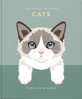 Little Book of Cats Little Book of Cats