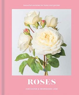 Roses Roses