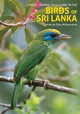 Birds of Sri Lanka Birds of Sri Lanka