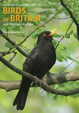 Identification Guide to Birds of Britain and Northern Europe (2nd Edition)