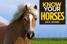 Know Your Horses Know Your Horses