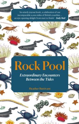 Rock Pool