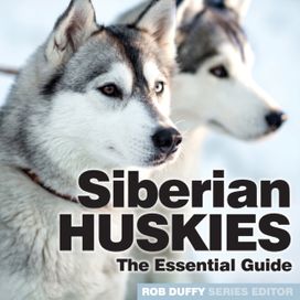 Siberian Huskies Siberian Huskies