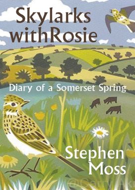 Skylarks with Rosie Skylarks with Rosie