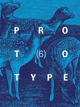 PROTOTYPE 6 PROTOTYPE 6
