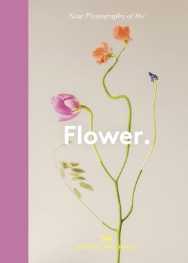 Flower. Flower.