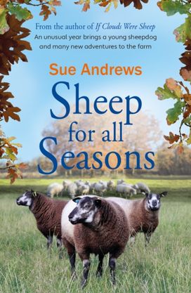 Sheep for All Seasons