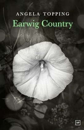 Earwig Country Earwig Country